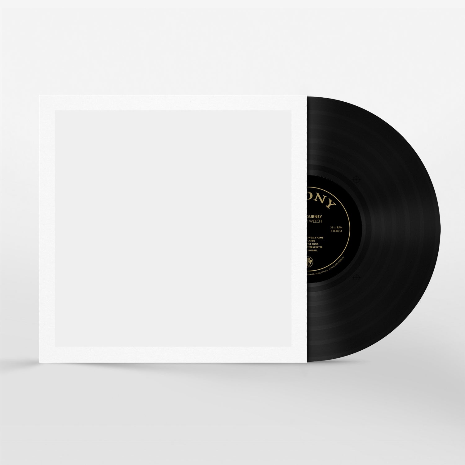 LP Replacement Disc